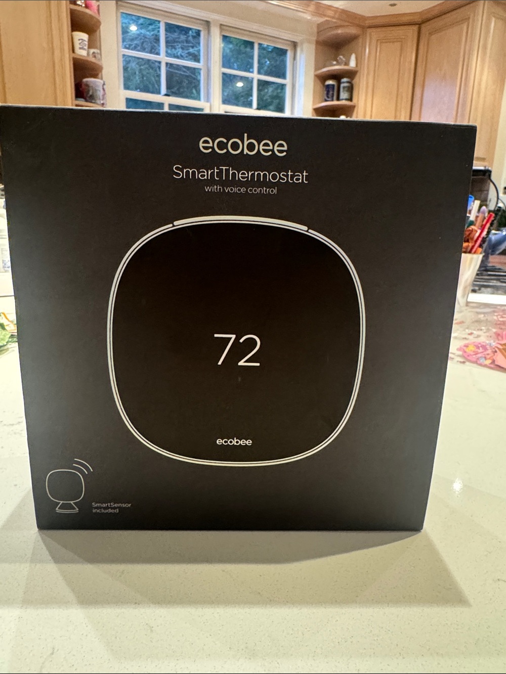 NWT Ecobee Smart Thermostat with voice Control (5th Gen)
